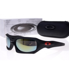 Oakley Glasses-0730