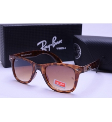 Ray-ban Glasses-1358